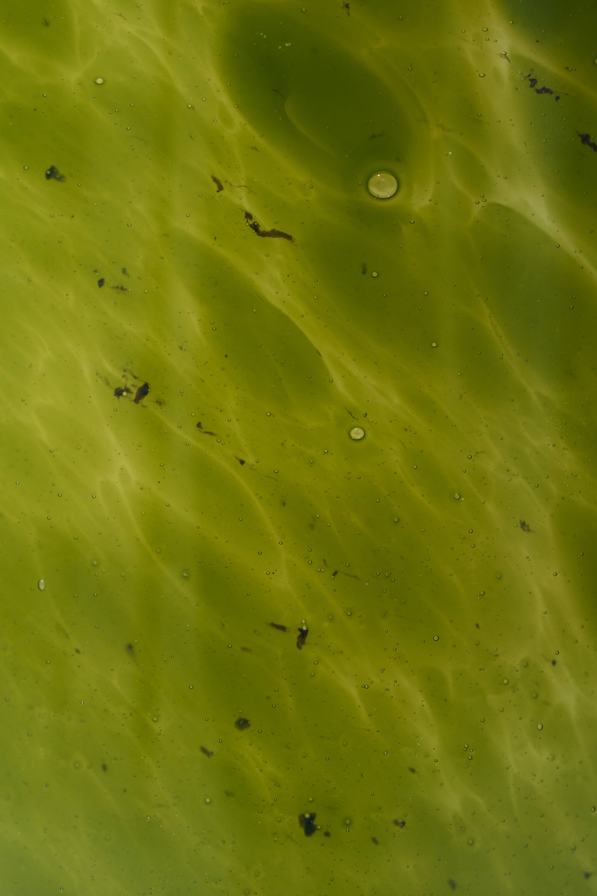 Serpent Glass Candle in Green slide 2