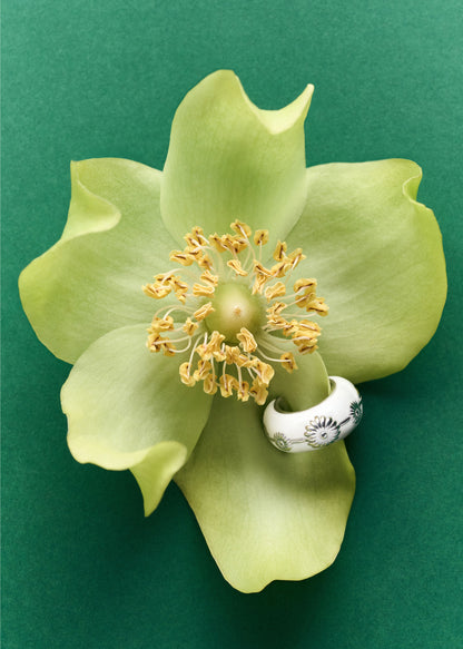 Malva Big Ear Cuff
